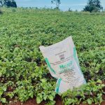 Criza îngrășămintelor lovește fermierii, deoarece războiul din Iran întrerupe aprovizionarea