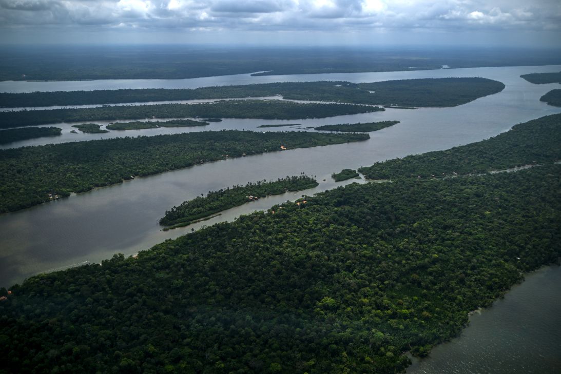 O vedere aeriană a pădurii tropicale Amazon de lângă râul Tocantins în Cameta, Brazilia, lângă estuarul râului Amazon.