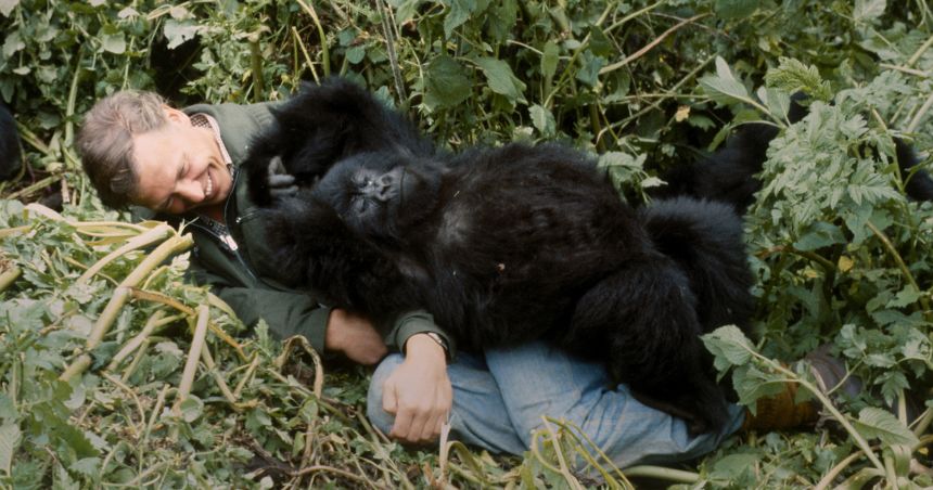 Pablo (foto) s-a asezat pe neasteptate peste David Attenborough in timp ce-l filma pe al lui 